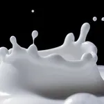 5 najčastejších mýtov o mliečnych výrobkoch a mlieku