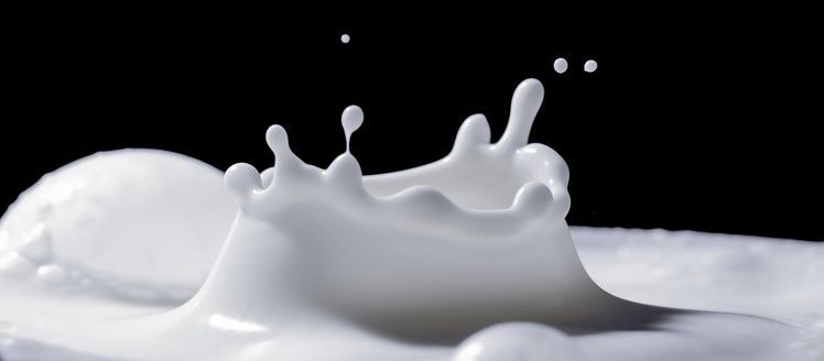 5 najčastejších mýtov o mliečnych výrobkoch a mlieku